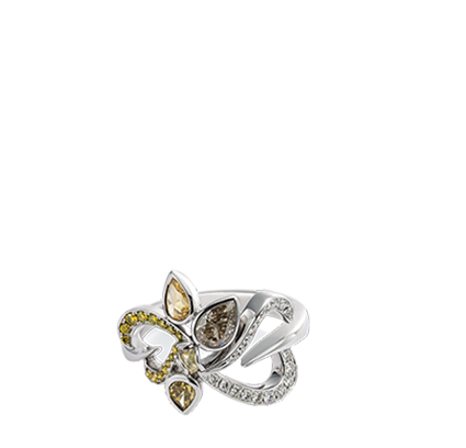 Set 14: Ring