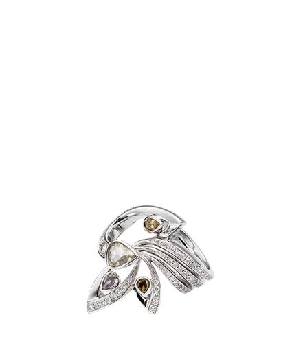 Set 16: Ring